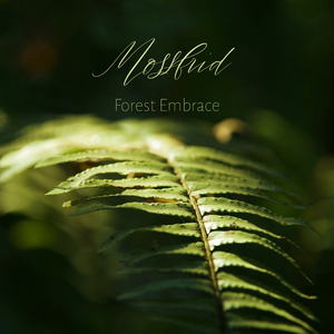 成人免费毛片❌❌❌app
