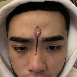 成人免费毛片❌❌❌app
