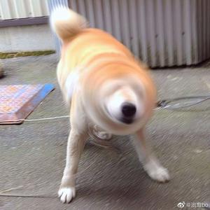 成人免费毛片❌❌❌app
