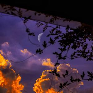 成人免费毛片❌❌❌app
